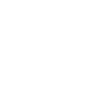 Rice Owl Shield